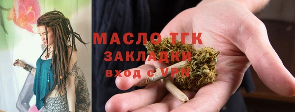 ПСИЛОЦИБИНОВЫЕ ГРИБЫ Горно-Алтайск