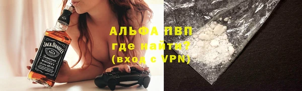 ПСИЛОЦИБИНОВЫЕ ГРИБЫ Горно-Алтайск