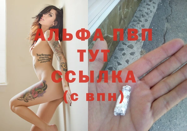 ПСИЛОЦИБИНОВЫЕ ГРИБЫ Горно-Алтайск