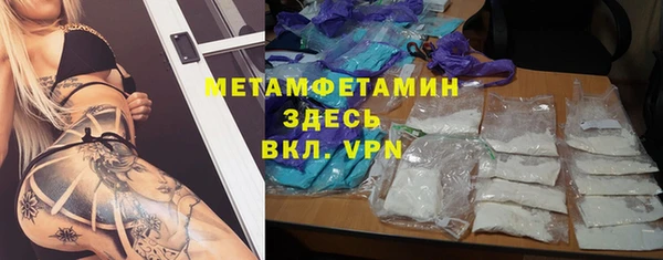 прущие грибы Дмитриев