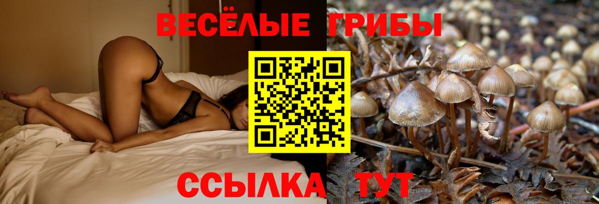 Галлюциногенные грибы Magic Shrooms Глазов