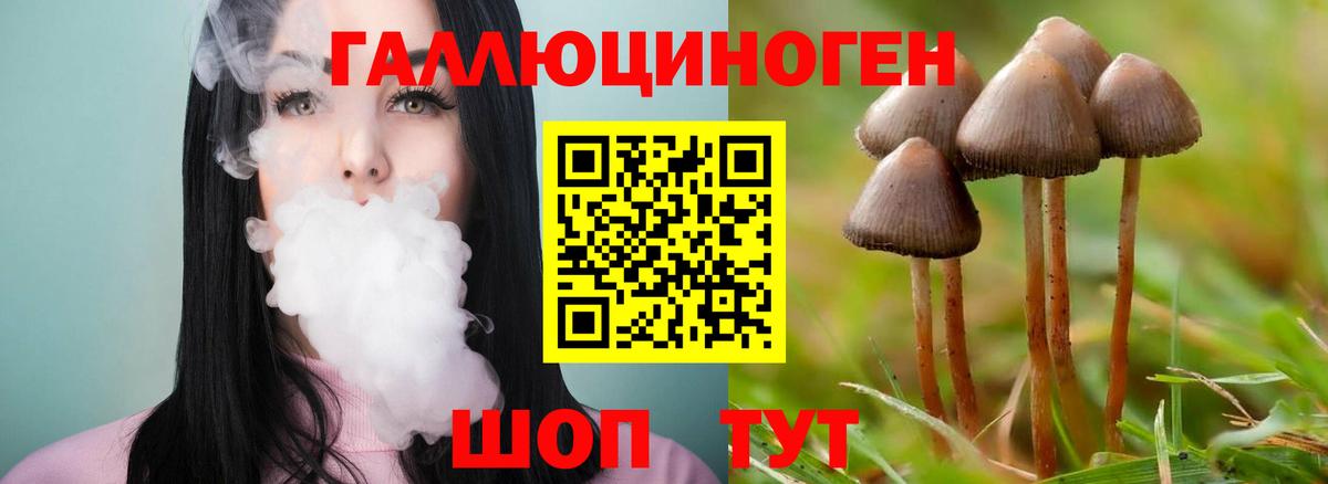 Галлюциногенные грибы прущие грибы  Вход с VPN  Псилоцибиновые грибы мухоморы  Глазов 
